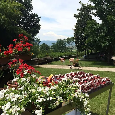 Farm stay Agriturismo Al Colle Del Ciliegio