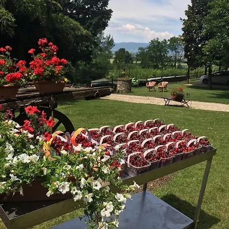 Agriturismo Al Colle Del Ciliegio Farm stay Rovolon